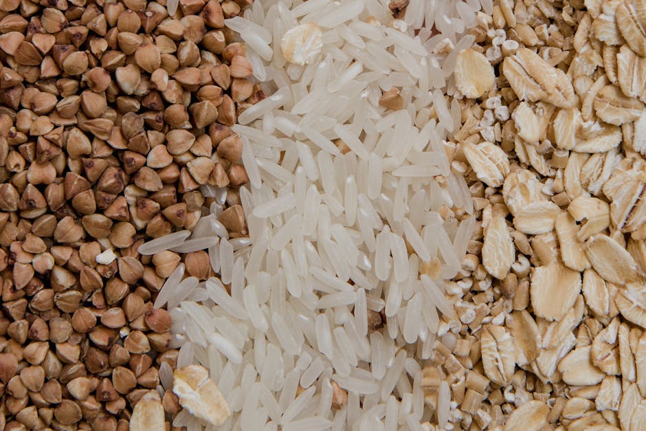 기초생활수급자 무료 쌀 신청